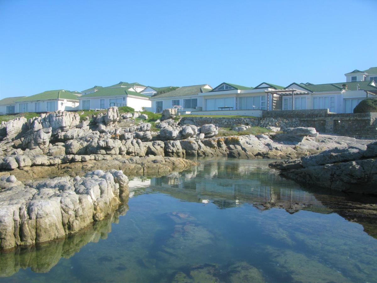 Beachfront House - Hermanus Whale View Villa Exterior foto