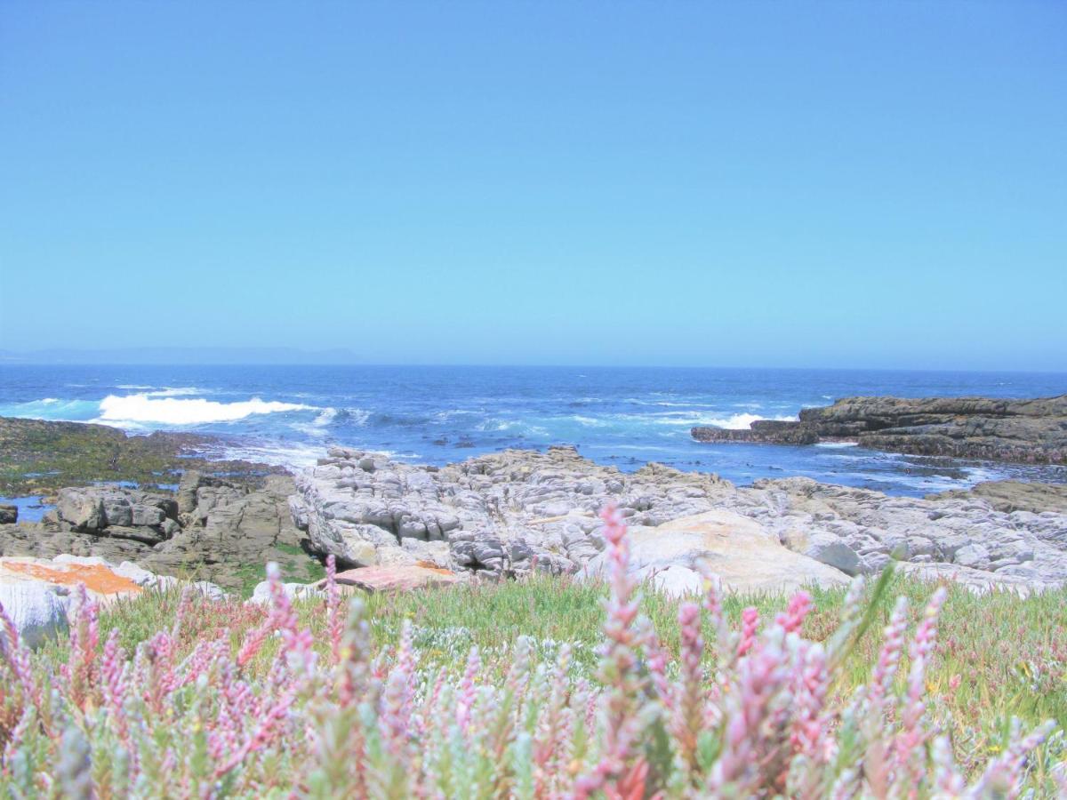 Beachfront House - Hermanus Whale View Villa Exterior foto