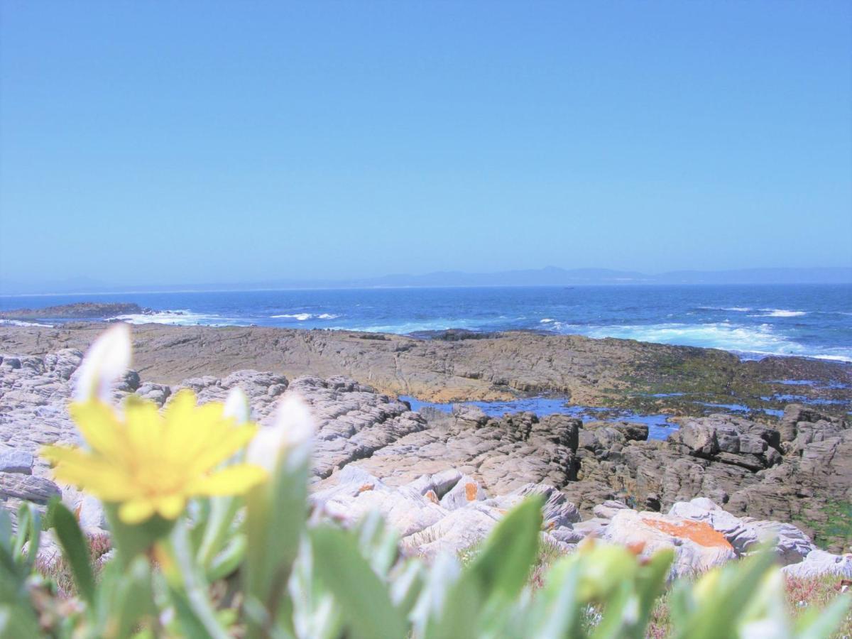 Beachfront House - Hermanus Whale View Villa Exterior foto