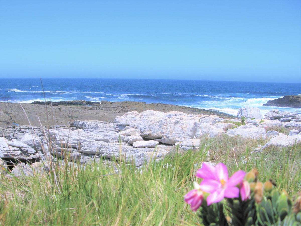 Beachfront House - Hermanus Whale View Villa Exterior foto