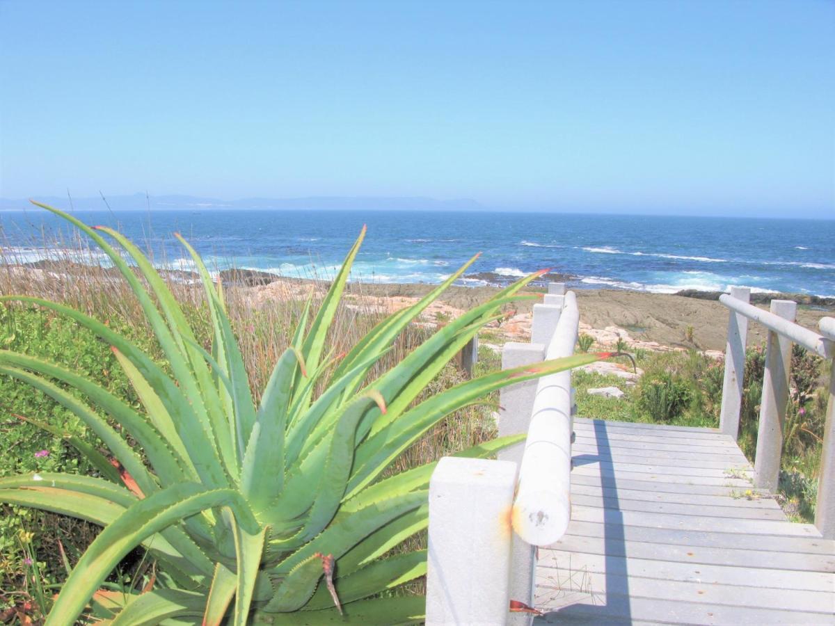 Beachfront House - Hermanus Whale View Villa Exterior foto
