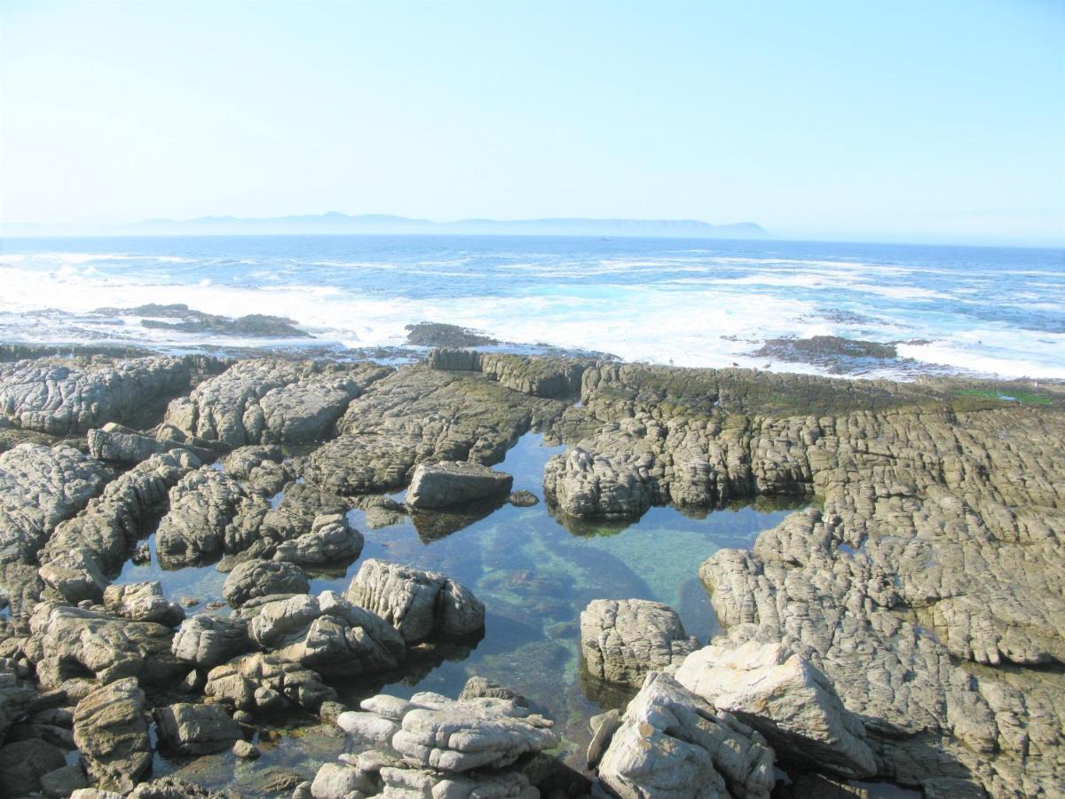 Beachfront House - Hermanus Whale View Villa Exterior foto