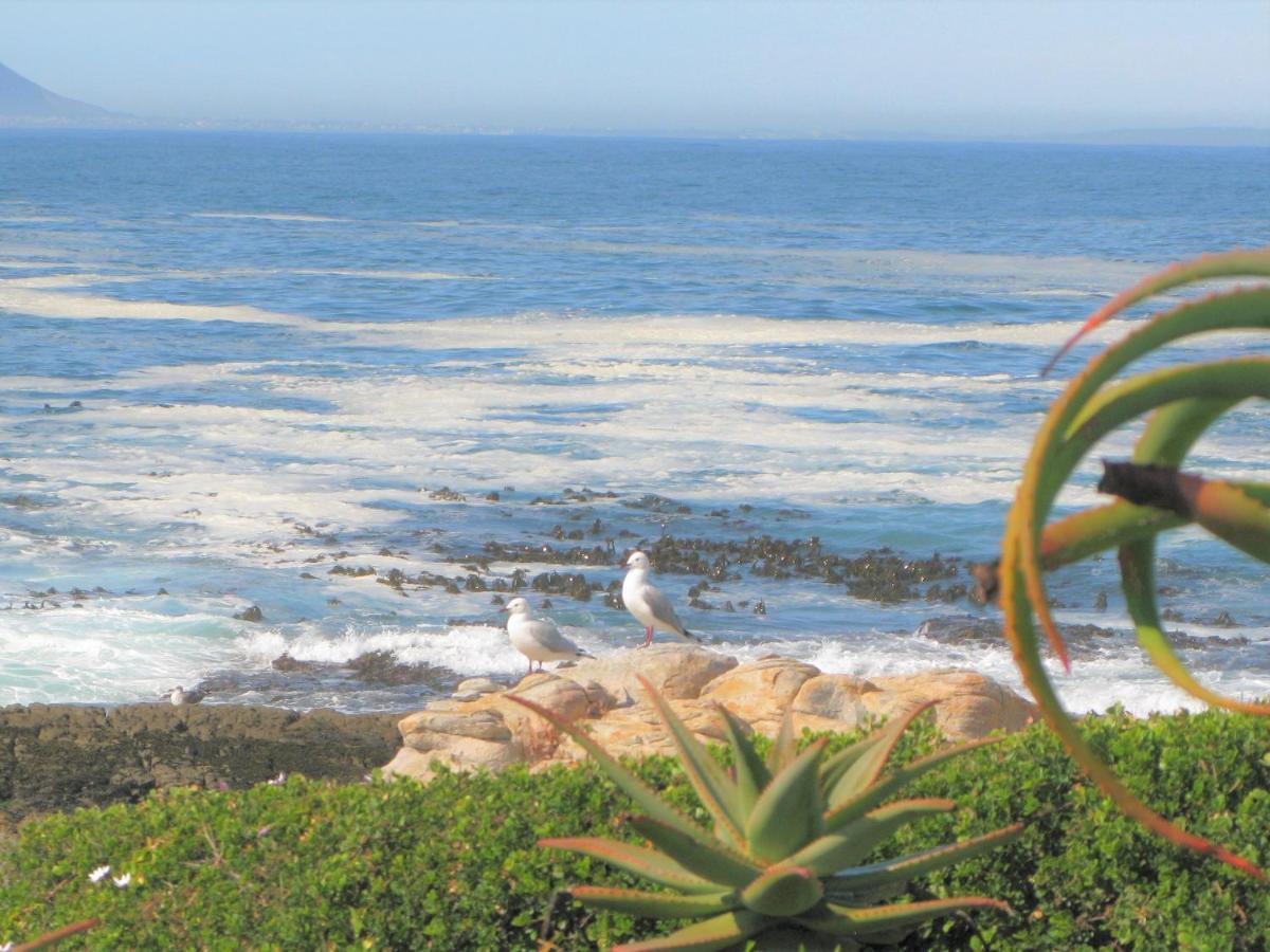 Beachfront House - Hermanus Whale View Villa Exterior foto