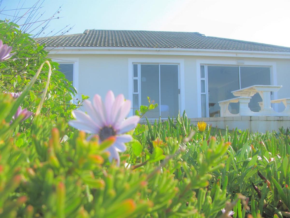 Beachfront House - Hermanus Whale View Villa Exterior foto